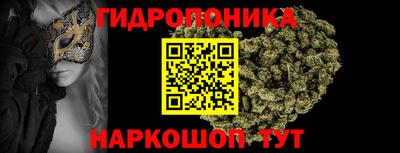 гашик Жуковский